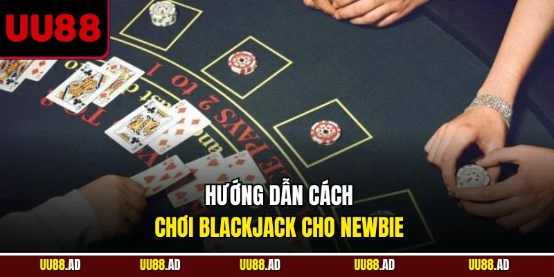 Hướng dẫn cách chơi blackjack cho newbie
