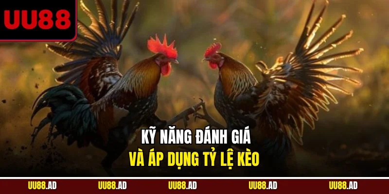 Kỹ năng đánh giá và áp dụng tỷ lệ kèo